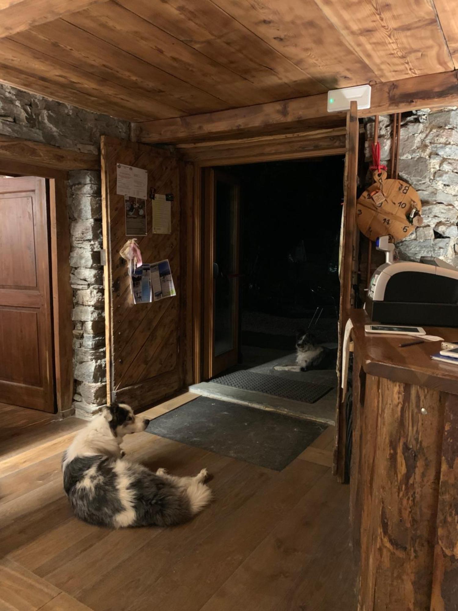 Chalet Del Lago チェレゾーレ・レアーレ エクステリア 写真