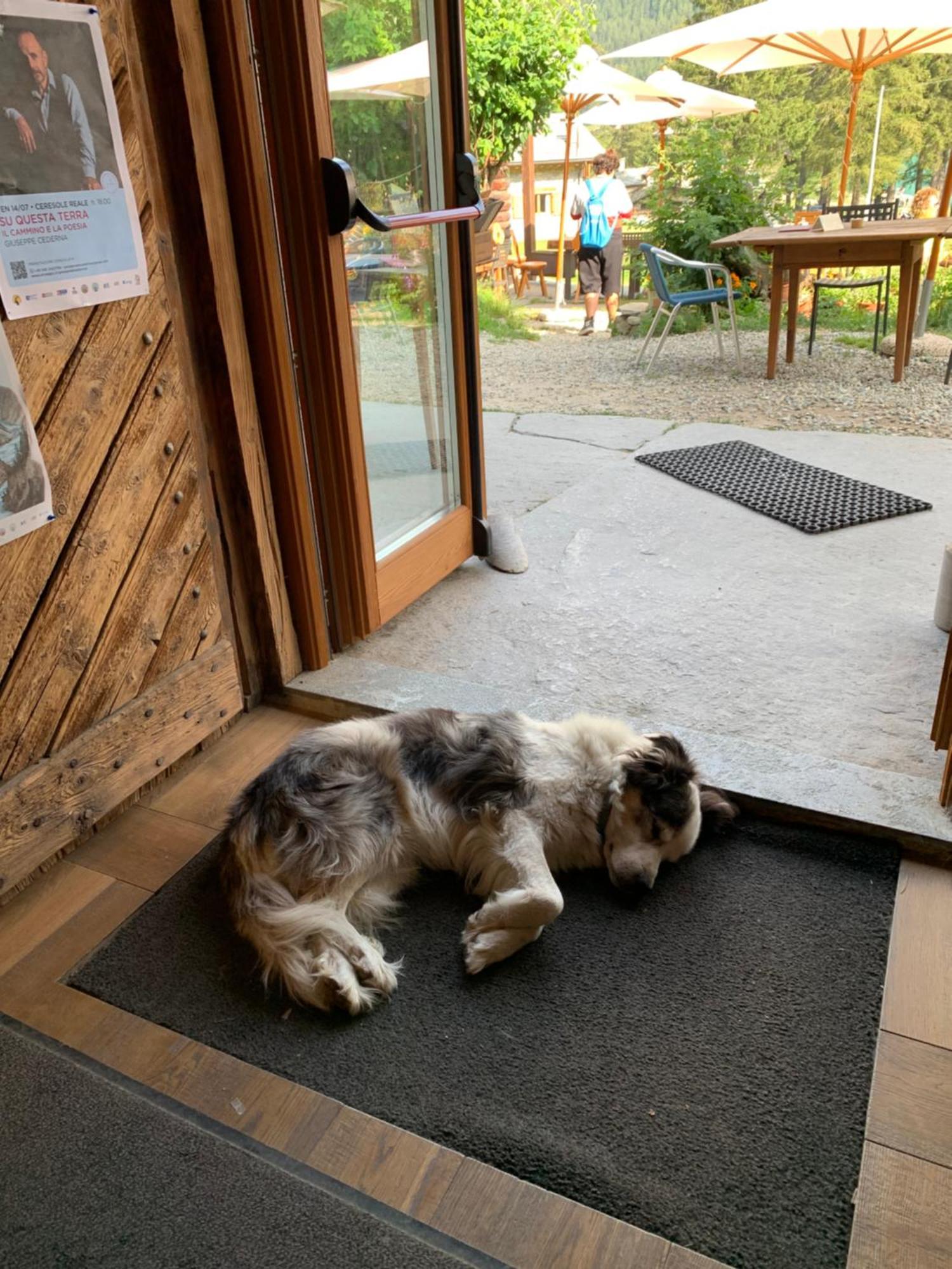 Chalet Del Lago チェレゾーレ・レアーレ エクステリア 写真